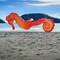 In the Breeze 5207 — 40-inch Seahorse 3D Windsock — Realistic Sea Life Windsock for Homes, Gardens, Classrooms with Brightly Printed Graphics